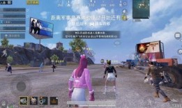 吃鸡新载具爆料最新,吃鸡战场再添神秘力量