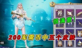 军需新皮肤最新爆料试水,揭秘神秘设计背后的故事